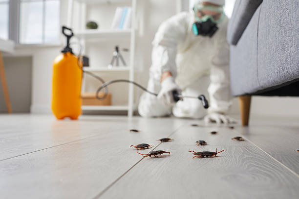 Commercial Kitchen Cockroach Control in Roebling